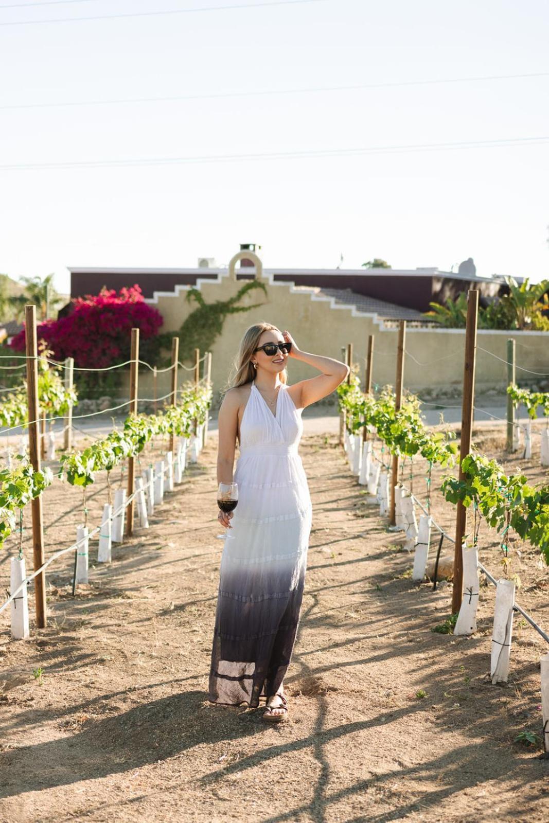 Sol Del Valle Valle de Guadalupe Kültér fotó